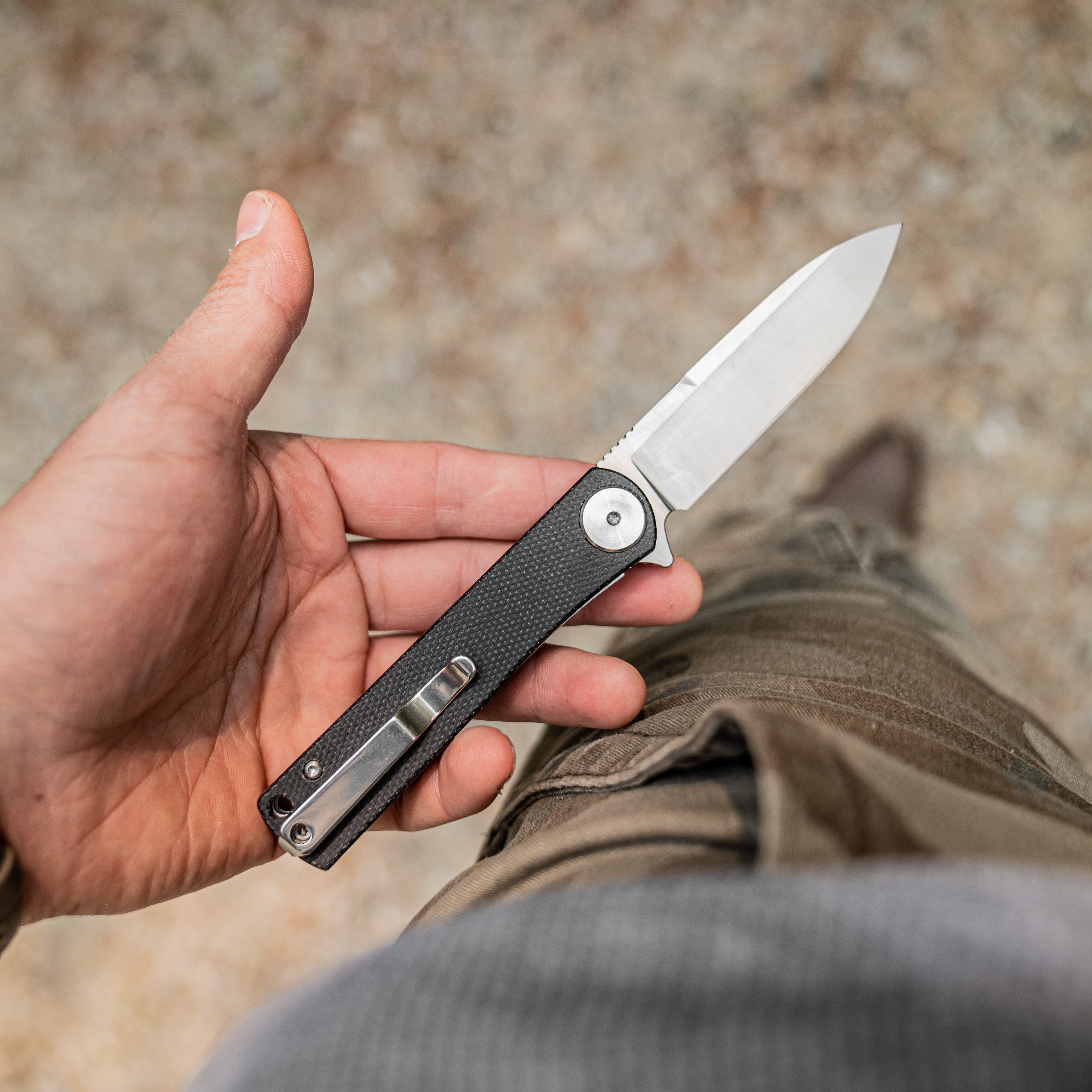 The Tatle Gear Harpy In Hand